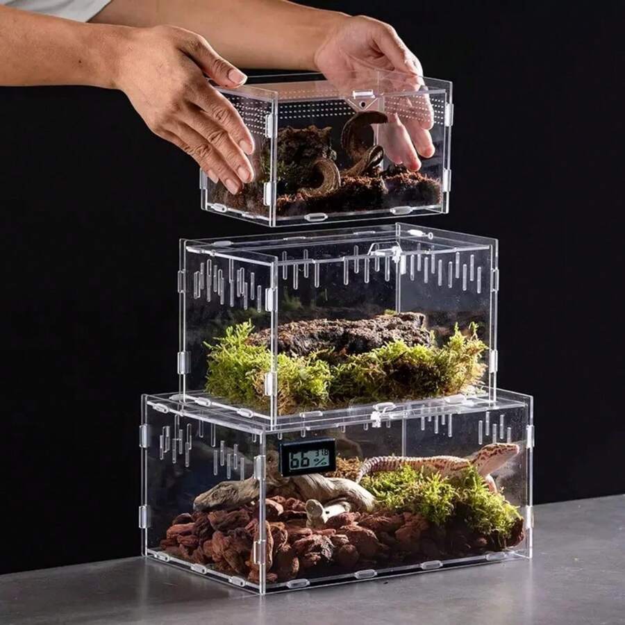 1 Transparent Acrylic Lizard Enclosure, Small Reptile/Amphibian Pet Square Feeding Box, Suitable For Wolf Spiders, Scorpions, Geckos, Etc. Features Good Ventilation And Airflow, High Transparency, Making It Easy To Observe Your Pet's Daily Life. - Clear - View 1