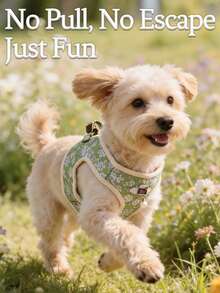 1 Set/2 Pcs (Harness + Leash) Pet Dog/Cat Harness Set, Floral Print/Color Block Design, Adjustable Vest-Style Leash, Essential For Pet Outdoor Walking - Multicolor - View 1