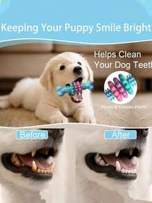 1件/3件装全新宠物玩具，狗狗玩具，TPR骨头型多肉耐咬磨牙玩具套装，宠物狗磨牙钻孔骨狗玩具，可水洗清洁，TPR耐咬玩具，遛狗锯齿球咀嚼玩具，宠物狗磨牙钻孔骨狗玩具，可水洗清洁，TPR耐咬玩具，遛狗锯齿球咀嚼玩具。 - 彩色 - 查看 3