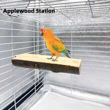 Parrot Toy Pet Supplies Bird Cage Branch Toy Swing Natural Wood Perch Stand For Bird Training And Entertainment - Multicolor - View 4