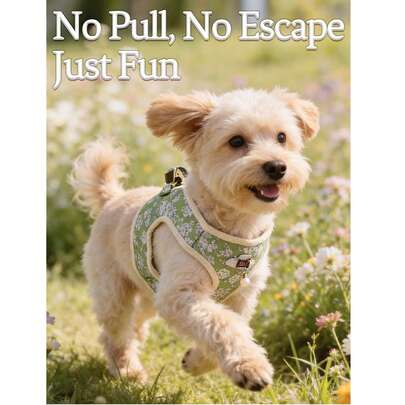 1 Set/2 Pcs (Harness + Leash) Pet Dog/Cat Harness Set, Floral Print/Color Block Design, Adjustable Vest-Style Leash, Essential For Pet Outdoor Walking