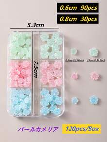 120片8mm+6mm极光山茶花玫瑰美甲装饰贴，透明/白色/黑色混合，3D立体设计，易于粘贴，适用于婚礼、假期、青春活动等场合，可用于美甲设计、珠宝制作、棺材形美甲、法式杏仁形美甲、短指甲和长指甲、椭圆形指甲、方形指甲、珠宝工艺、毕业帽设计、DIY手机壳等。美甲用品 - 彩色 - 查看 29