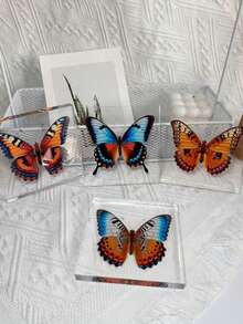 1 Piece Of Oversized (10CM) Transparent Spreading Butterfly Series Model Decoration, With Multiple Varieties Of Butterflies, Permanently Preserved Animal Model Crafts, Printed With The Most Realistic Animal And Insect Butterfly Specimens In Nature, Transparent Animal And Plant Insect Model Square, Decorative Craft Ornament (Acrylic Double-Sided) - Multicolor - View 13