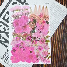 100pcs/Pack DIY Dried Flowers Daisies Leaves, Hydrangeas, Multiple Natural Pressed Flowers Colorful Decorative Dried Flowers For DIY Craft Resin Jewelry Making Scrapbook Supplies Card Making Soap Candle DIY, Valentine Day, Gift Gifts Birthday Graduation - 彩色 - 查看 13
