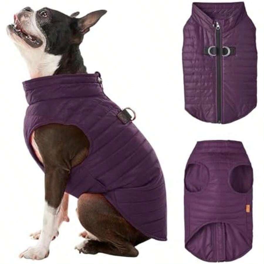 Gooby Chaleco Acolchado para Perro, Color Morado, Mediano, con Cremallera Ultrafina y Correa de Doble Anillo en D, Abrigo Resistente Agua para Perros pequeños, Ropa para Perros pequeños o medianos(Mediano Uva) - Multicolor - Ver 1