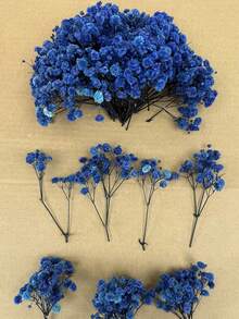 25/50/100/300 unidades de mini gipsófila branca marfim e outras flores secas - para moldes de resina, artesanato, acessórios de cabelo, coroas de casamento, decoração de mesa e decoração de casa. - Multicolorido - Ver 22