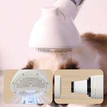 1台300瓦宠物毛发吸尘器，家用/车载两用，1秒快速清洁，5合1功能，可充电，超长续航365天