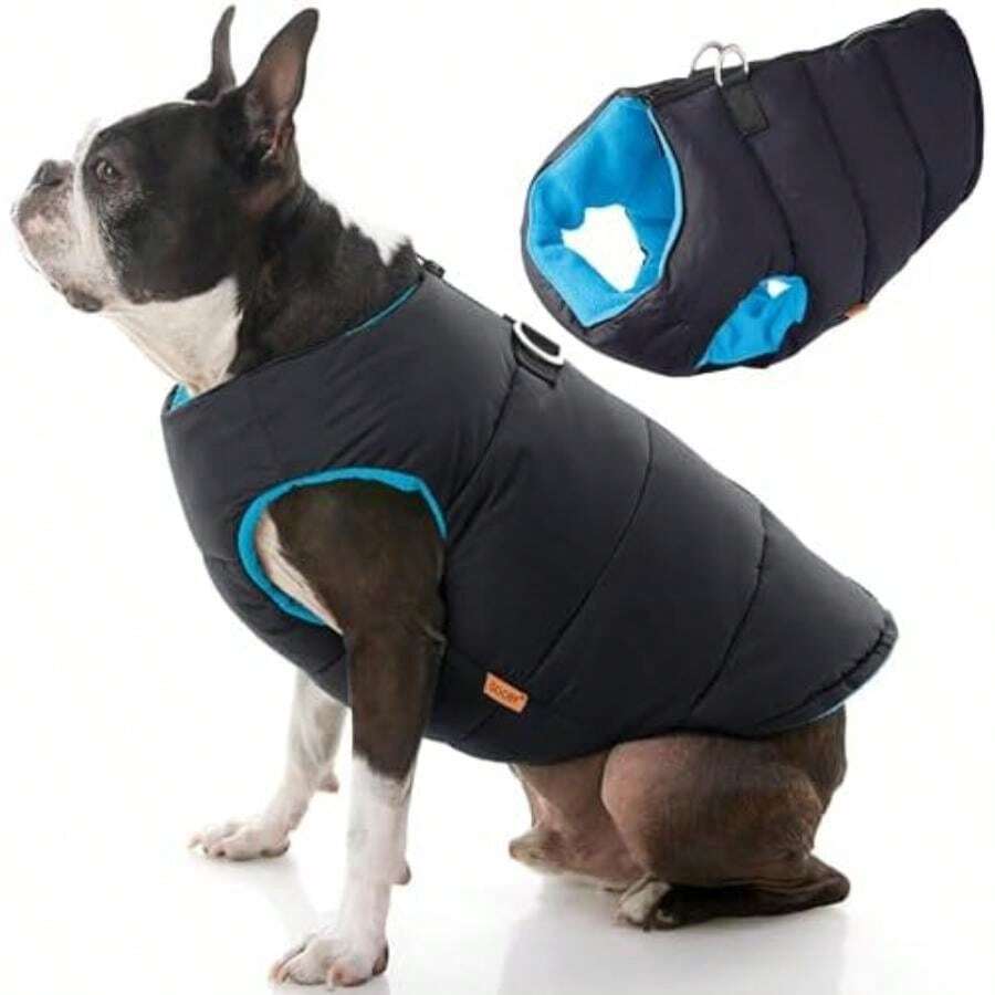 Pet Sweaters - Multicolor - View 1