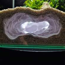 Đường hầm thoát hiểm và nơi ẩn náu cho bò sát in 3D - Lối đi cứu hộ cho cá, tôm, rùa, thằn lằn, lưỡng cư trong bể cá, trang trí dưới nước và bể cá, nơi ẩn náu giúp giảm căng thẳng. - A - Xem 7