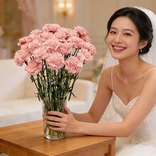 10支仿真康乃馨，丝质花茎，适用于葬礼布置、婚礼花束、花圈装饰、DIY手工、母亲节、情人节等场合。可用作婚礼中心装饰、新娘送礼、桌面摆设、家庭聚会、生日装饰。不含花瓶。 - 粉色 - 查看 6