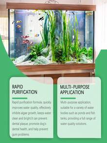 YEGBONG 水族箱 - 清洁水族箱，去除绿藻、褐藻、黑藻，改善水质/透明度 - 彩色 - 查看 6