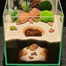 3D打印水族箱隧道洞穴装饰/模拟深陷洞穴景观装饰，适用于鱼缸，可为小型鱼类、虾类、乌龟、两栖动物提供躲藏处 - A - 查看 1