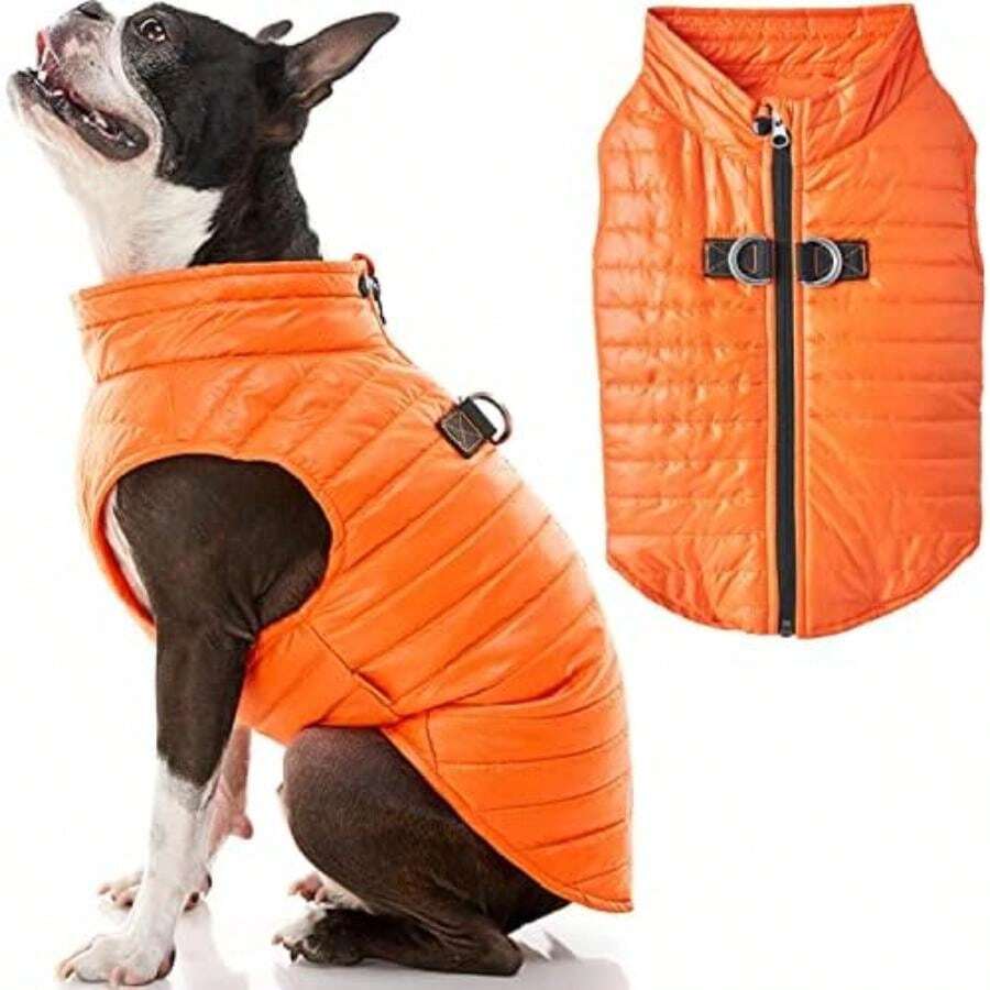 Pet Sweaters - Multicolor - View 1