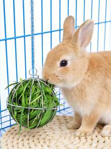 1pc Pet Rabbit Chew Ball, Hanging Grass Feeder Rack, Guinea Pig Stainless Steel Plated Grass Rack Ball Toy