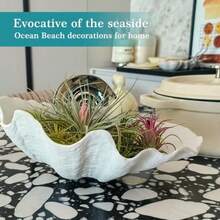 ccAccessoryway - Tazón decorativo grande de conchas de mar blanco de resina concha de almeja decoración de playa para el hogar decoración de playa cuencos de almacenamiento y decoración de fiestann - Blanco - Ver 3
