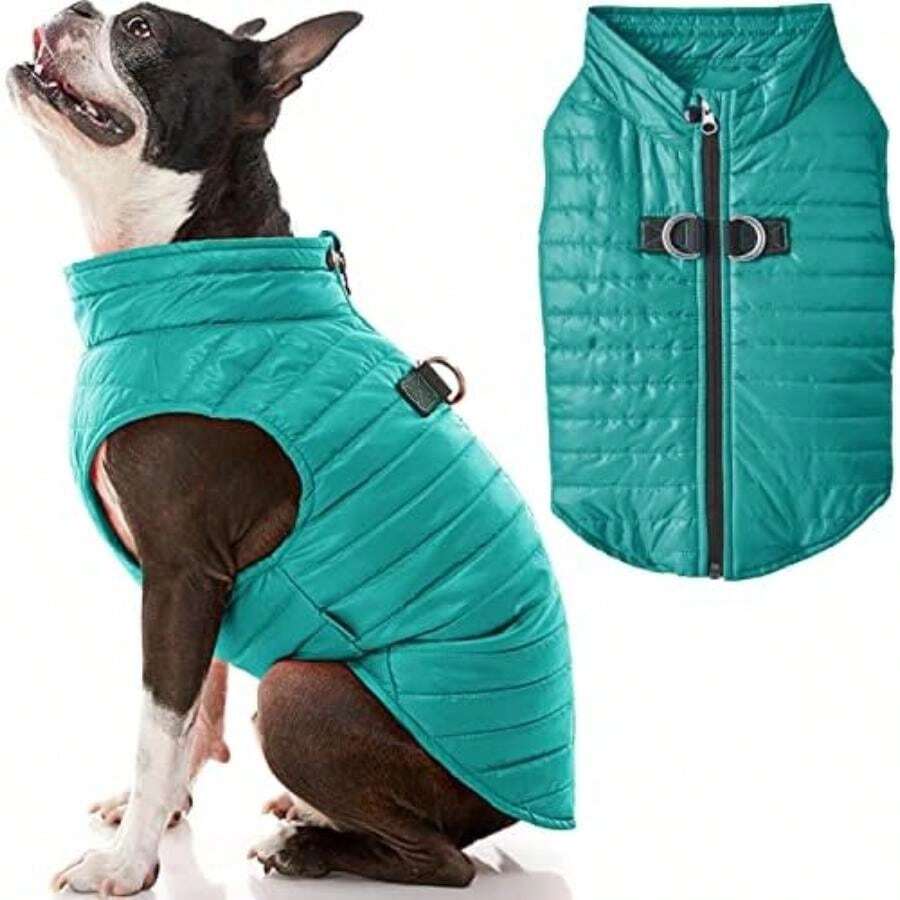 Pet Sweaters - Multicolor - View 1