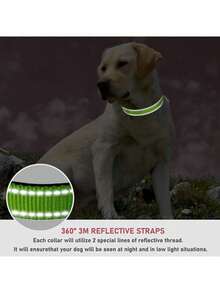 1件装狗项圈，防滑狗项圈牵引绳，带夜光反光牵引绳，宠物用品