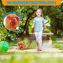 2026 Electronic Interactive Golden Retriever Toy Dog With Leash, Walks, Barks & Wags Tail, Cute Pet Gift For Kids - Brown - View 5