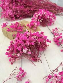 25/50/100/300 unidades de mini gipsófila branca marfim e outras flores secas - para moldes de resina, artesanato, acessórios de cabelo, coroas de casamento, decoração de mesa e decoração de casa. - Multicolorido - Ver 10