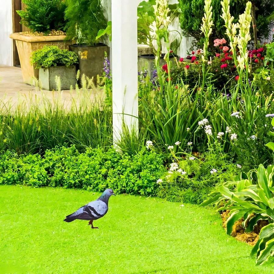 The Pigeon Often Symbolizes Peace, Freedom, And Tranquility In Daily Life. It Is Situated In A Well-Maintained Garden Colorful Flora, Creating A Fresh And Comfortable Environment That Exudes Natural Vitality And The Peaceful Contentment Of Everyday Living. - Multicolor - View 1