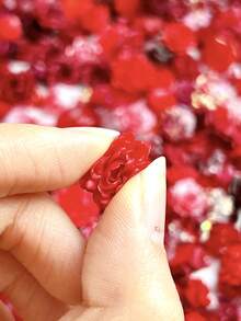 30件装红黑软花美甲饰品树脂人造花玫瑰山茶花蝴蝶，适合情人节和新年，用途广泛的美甲配件DIY美甲用品 - 彩色 - 查看 5