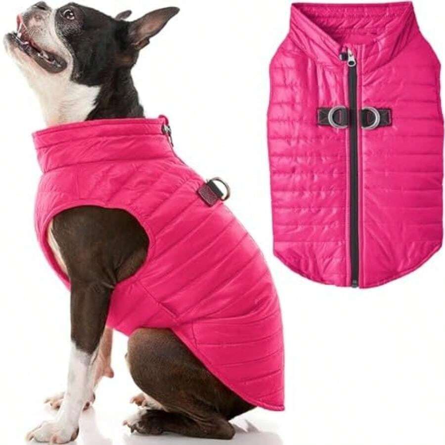Gooby Chaleco Acolchado para Perro, Color Morado, Mediano, con Cremallera Ultrafina y Correa de Doble Anillo en D, Abrigo Resistente Agua para Perros pequeños, Ropa para Perros pequeños o medianos(X-Large chest (23.5") Rosa) - Multicolor - Ver 1