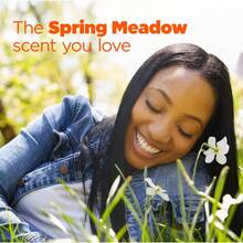 Spring Meadow HE Deep Cleaning Concentrated Laundry Detergent Pods - 1 - 查看 8