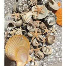 1 Box Approx. 150/10g Ocean Shells & Conch - For DIY Jewelry Making, Fish Tank, Bathroom Home Decor, Party Candles, Wedding Decoration, Handmade Crafts, (Due To Lighting, Display Etc., The Actual Product May Have Slight Color Difference"; Natural Shells & Conch Are Marine Organisms, Not Perfect, Size, Color, Pattern Depth Vary (Product Box Is 150g, Small Bag Is 10g, Please Read Title Carefully Before Purchasing, Product Is Fragile, May Be Slightly Damaged During Transportation, Please Read Title Carefully Before Purchasing, Product Shipped Randomly) - Multicolor - View 8