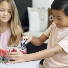 Cortador de caja retráctil automático  | Cortador de caja de cerámica  que dura 11 veces más que el metal, abrecajas de llavero, paquete de 12,38263310 - Camel - Ver 6