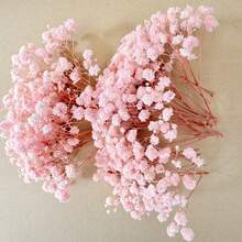 25/50/100/300 unidades de mini gipsófila branca marfim e outras flores secas - para moldes de resina, artesanato, acessórios de cabelo, coroas de casamento, decoração de mesa e decoração de casa. - Multicolorido - Ver 14