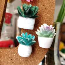 Decorative Succulent Plant Thumbnail For Wall Hanging, Cork Board Push Needle Succulent Plant Small Flower Pattern Nail Cork/Random Edition