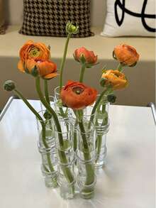 1 Set Transparent Test Tube Vase, Hydroponics Planter, Flower Vase Decor, Home Decoration, Holiday Gift - Clear - View 5