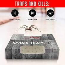 Spider Traps For Inside Your Home 16 Traps - Spider Catcher Insect Traps Indoor - Spider Traps Indoor Bug Traps Sticky Traps For Spiders - Pre Baited Ultra Sticky Insect Glue Traps -Gift - Black - View 4