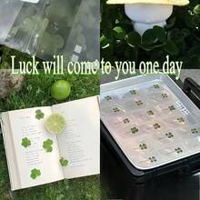 10/20 Peças Conjunto de Cartões Postais de Trevo da Sorte - Nova Série de Cura, Cartões de Felicitações, Padrões de Plantas, Papel de Desejo Transparente, Marcadores de Livro e Decorações - Presente Perfeito para o Dia de São Patrício, Formatura, Casamento, Design Premium - Multicolorido - Visão 6