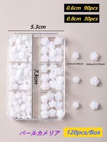 120片8mm+6mm极光山茶花玫瑰美甲装饰贴，透明/白色/黑色混合，3D立体设计，易于粘贴，适用于婚礼、假期、青春活动等场合，可用于美甲设计、珠宝制作、棺材形美甲、法式杏仁形美甲、短指甲和长指甲、椭圆形指甲、方形指甲、珠宝工艺、毕业帽设计、DIY手机壳等。美甲用品 - 彩色 - 查看 23