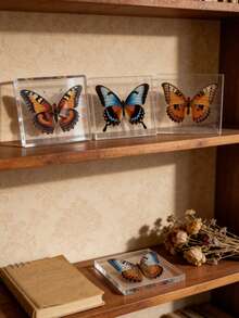 1 Piece Of Oversized (10CM) Transparent Spreading Butterfly Series Model Decoration, With Multiple Varieties Of Butterflies, Permanently Preserved Animal Model Crafts, Printed With The Most Realistic Animal And Insect Butterfly Specimens In Nature, Transparent Animal And Plant Insect Model Square, Decorative Craft Ornament (Acrylic Double-Sided) - Multicolor - View 5
