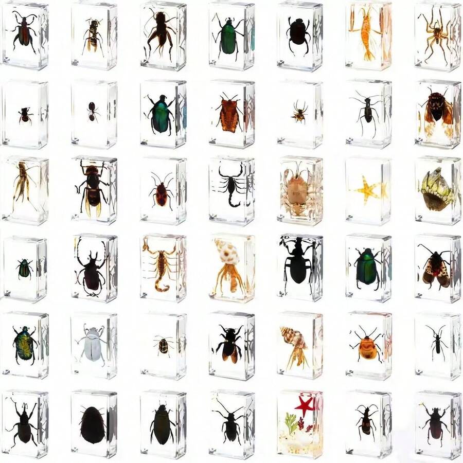 1pc Insect & Plant Specimen Preserved In Transparent Resin Amber Box! Permanent Insect & Plant Model Craft, Natural Real Insect Resin Specimen Paperweight, Amber Transparent Animal & Plant Insect Model Square, Decorative Craft Ornament, Highly Valuable Collectible. - Multicolor - View 1