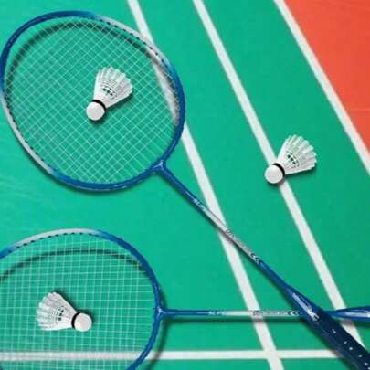 4-delige lichtgewicht en duurzame badmintonracketset, geschikt voor informele wedstrijden in parken en tuinen. Het is een uitstekende keuze voor stellen, vrienden en families om samen van buitensporten te genieten. De rackets hebben een comfortabele grip en een stevig frame, geschikt voor casual spelletjes en recreatieve activiteiten, en voor spelers van alle niveaus.