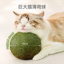 Bolas para gatos, berro, palitos para masticar, gato, bolas de snacks para gatos - Berro y gato natural - Adecuado para gatitos y gatos adultos - Juego interactivo y cuidado oral - Excelente regalo para amantes de los gatos - Multicolor - Ver 1