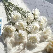 10支仿真康乃馨,丝质花茎,适用于葬礼布置、婚礼花束、花圈装饰、DIY手工、母亲节、情人节等场合。可用作婚礼中心装饰、新娘送礼、桌面摆设、家庭聚会、生日装饰。不含花瓶。 - 白色 - 查看 3
