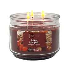 3-Wick Scented Candle In 11.5 Oz Glass Jar, Fall Fragrance  Pumpkin Spice, Long Burning, Soy Blend Wax, Home Decor, Autumn Aromatherapy Candle For Cozy Indoors - 1 - Xem 1