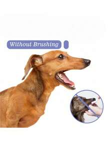 YEGBONG 猫狗牙齿清洁喷雾，去除牙渍，清新口气，宠物口腔护理喷雾 - 30ml - 查看 5