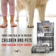 Spider Traps For Inside Your Home 16 Traps - Spider Catcher Insect Traps Indoor - Spider Traps Indoor Bug Traps Sticky Traps For Spiders - Pre Baited Ultra Sticky Insect Glue Traps -Gift - Black - View 7