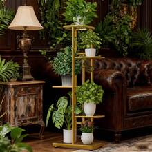 SHENGMAO--2/3/4/5/6-7Tier Plant Stand, Iron Flower Stand,Heavy-Duty Metal Frame, Metal Flower Stand, High-Angle Multi-Tier Plant Rack, Indoor/Outdoor Flower Pot Display Stand. Crafted From Iron With A Sleek, Minimalist Design For Easy Disassembly. This Versatile Stand Fits Seamlessly In Living Rooms, Entryways, Offices, Or Outdoor Patios And Gardens. Available In Multiple Colors. - 金色5層 - 查看 7