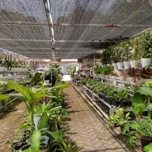 1 pieza Red de sombra de alta calidad (con cordón) - Cubierta contra la lluvia, adecuada para piscinas y patios - Protección UV del 65-75%, toldo exterior perfecto para el patio, el garaje y el oasis del jardín, con cuerdas. - Negro con cordón - Ver 11