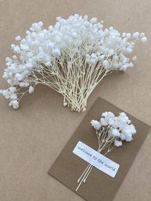 25/50/100/300 unidades de mini gipsófila branca marfim e outras flores secas - para moldes de resina, artesanato, acessórios de cabelo, coroas de casamento, decoração de mesa e decoração de casa. - Multicolorido - Ver 20