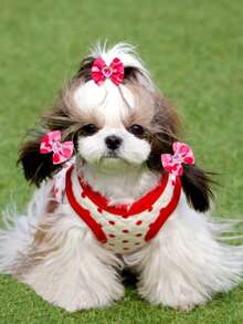 10/30个装爱心钻石宠物蝴蝶结头饰，带弹力橡皮筋，可爱有趣的狗狗发饰，装扮，幼犬装饰，猫狗宠物装饰用品，情人节/日常散步/宠物派对装扮神器