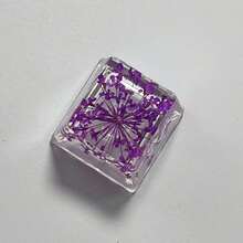 1个自粘式DIY树脂高透明干花键帽真花鲜花小满星机械键盘键帽单片OEM R4