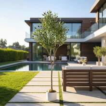 Artificial Olive Tree In A Pot (60/120/135/150/160 Cm Tall), Artificial Olive Plant With Natural Leaves And Fruit, Decorative Houseplant For Office, Home, Bedroom, Modern Country House And Entrance Area Decoration - 橄欖綠 - 查看 4