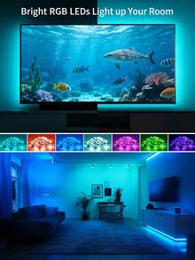 24键遥控器，5V USB RGB LED灯带，适用于电视背光、办公室、桌面底部、电脑显示器、客厅、卧室（建议长度：1米至5米，用于电视和电脑背景照明）。最佳生日礼物，可通过遥控器控制，非常适合用于电视、花园、家居、卧室、客厅、万圣节、圣诞节、婚礼和派对装饰，是生日和圣诞节的完美礼物。 - 彩色光 - 查看 2